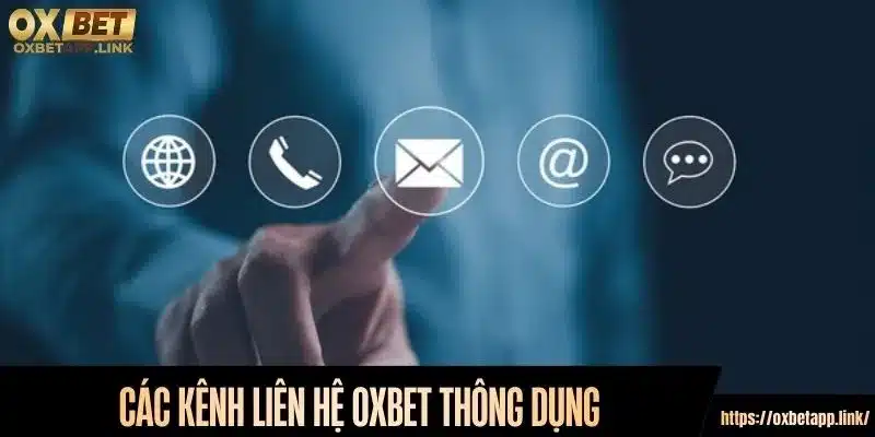 Các kênh liên hệ nhà cái Oxbet thông dụng