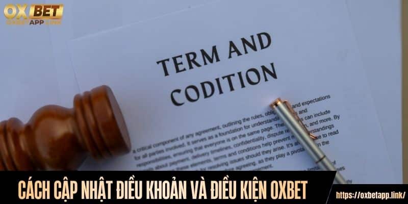Cách cập nhật điều khoản và điều kiện Oxbet