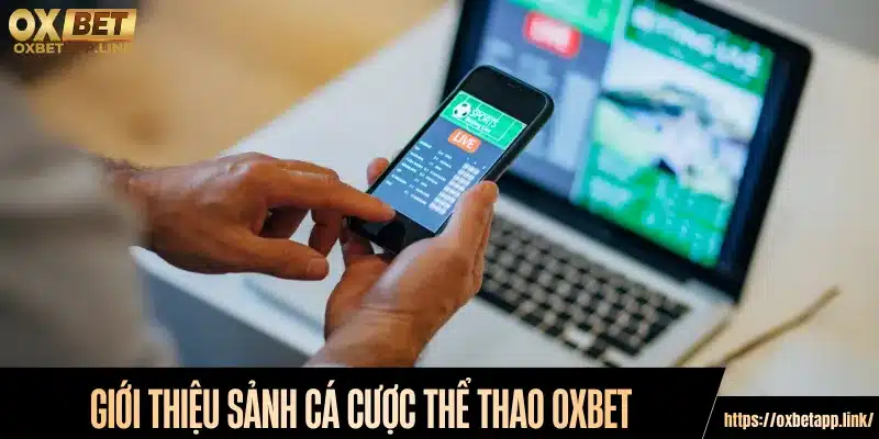Giới thiệu sảnh cá cược thể thao Oxbet
