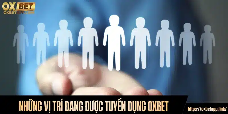 Khám phá những vị trí đang được tuyển dụng Oxbet